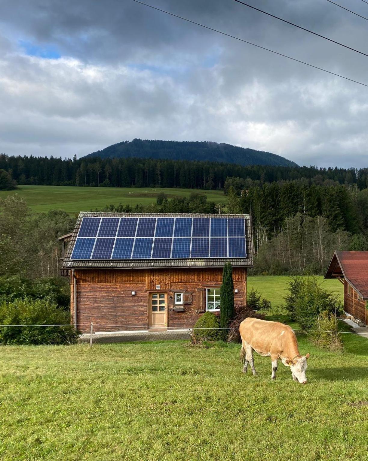 Ferienhaus In Mariahof Bagian luar foto